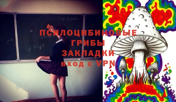мдма Козловка
