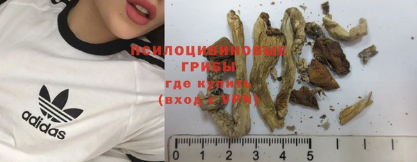 меф Козельск