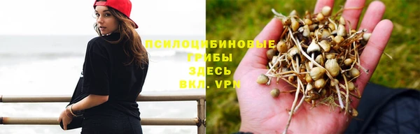 мдма Козловка