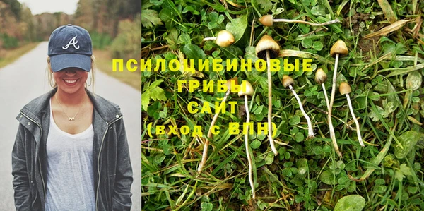 меф Козельск