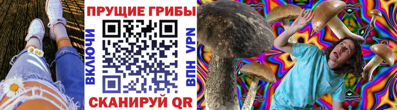Купить закладки  Киселёвск  Галлюциногенные грибы прущие грибы 
